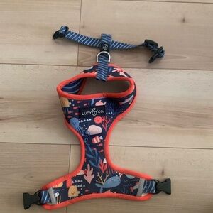 Lucy & Co Puppy harness